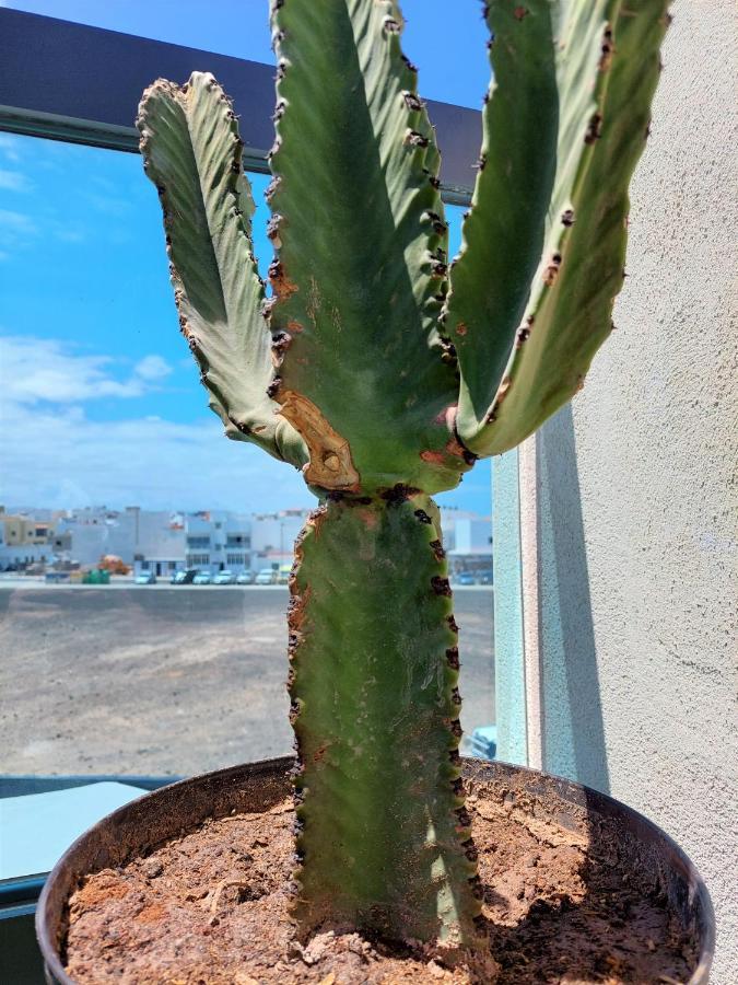 Deep Blue Cotillo III By Sea You There Fuerteventura エクステリア 写真